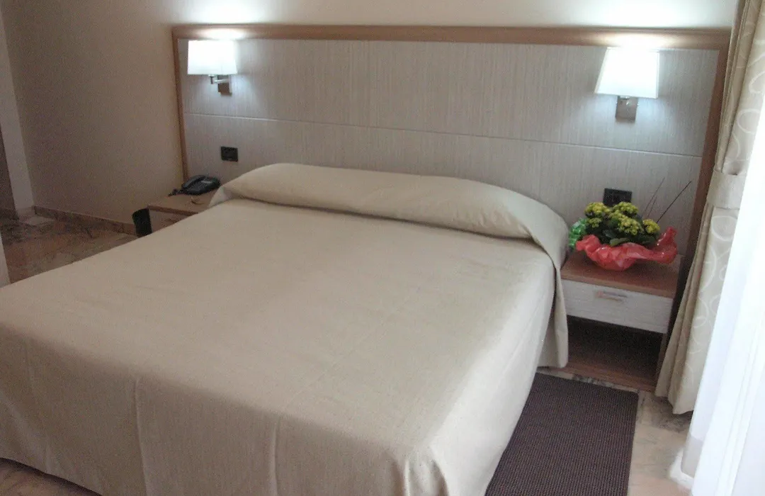Hotel Smeraldo Torino-1